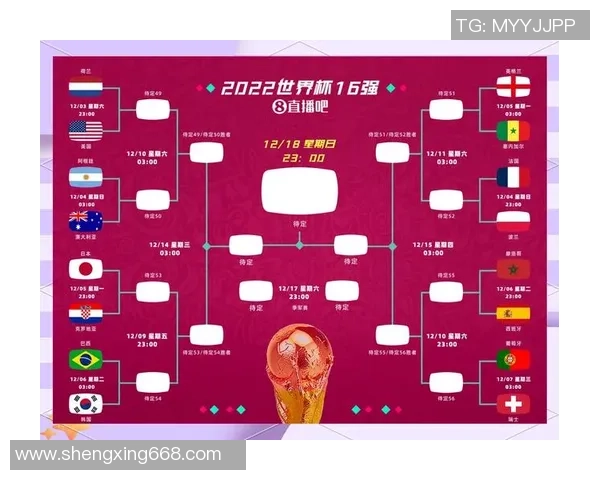 2010世界杯精彩对决科特迪瓦与葡萄牙的激烈较量回顾