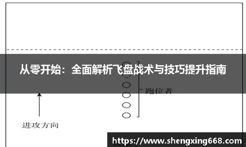 从零开始：全面解析飞盘战术与技巧提升指南