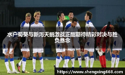 水户蜀葵与新泻天鹅激战正酣期待精彩对决与胜负悬念